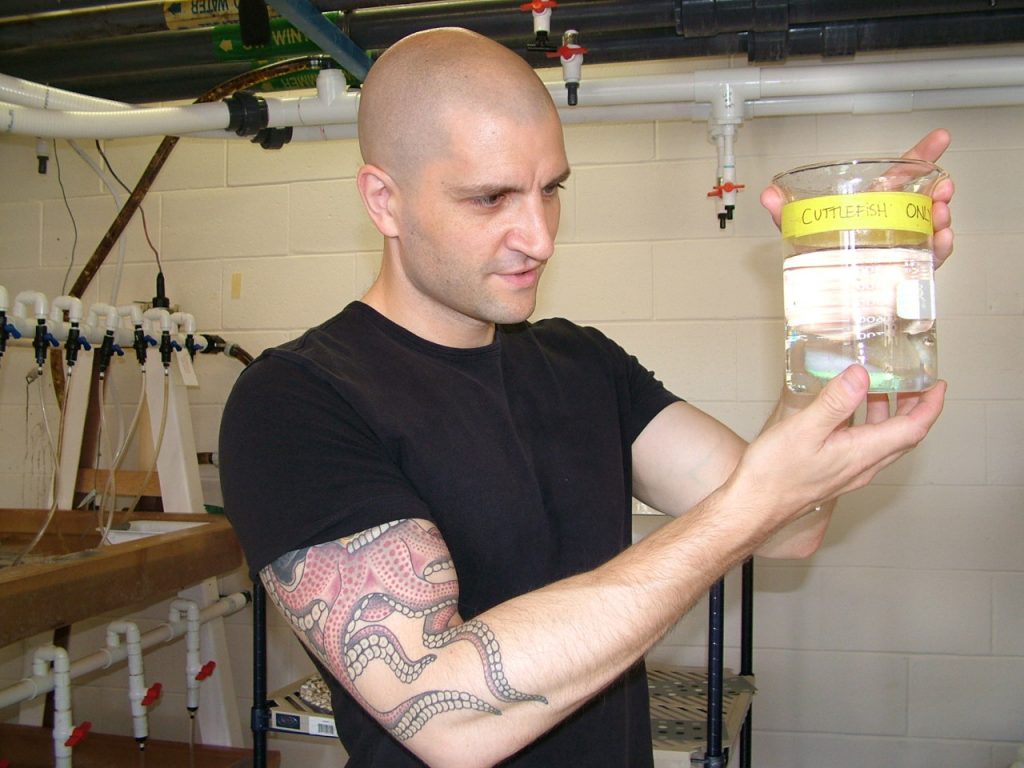 Cena e sumário será visto na cena de um livro de China Miéville